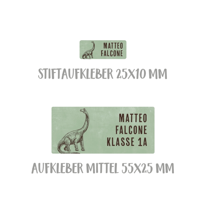 Namensaufkleber Set fr die Schule Dino