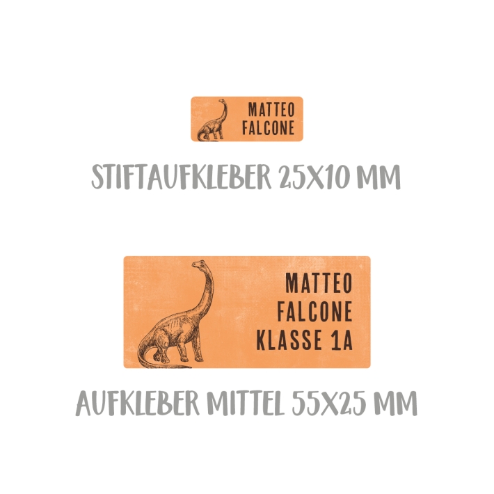 Namensaufkleber Set fr die Schule Dino